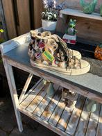 Bluehaven, Ophalen, Nieuw, Sneakers of Gympen