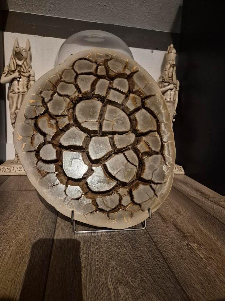 Septaria Schaal op standaard, Verzamelen, Mineralen en Fossielen, Ophalen