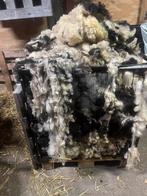 Wol van bonte schapen om te vilten,spinnen of isoleren, Ophalen, Nieuw, Spinwol