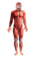 Kostuum Halloween Body Suit L/XL, Kleding | Heren, Carnavalskleding en Feestkleding, Maat 56/58 (XL), Ophalen of Verzenden, Zo goed als nieuw