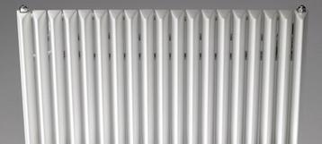 Jaga iguana aplano, mooie design radiator, erg netjes beschikbaar voor biedingen