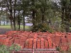 Teeuwen dakpannen +-4000 stuks, Ophalen, Gebruikt, Steen of Klei, 15 m² of meer