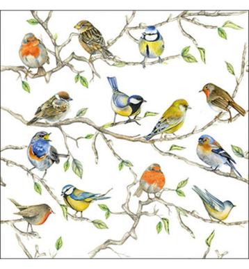 Ambiente servet birds meeting 33 x 33 cm 13314975 beschikbaar voor biedingen
