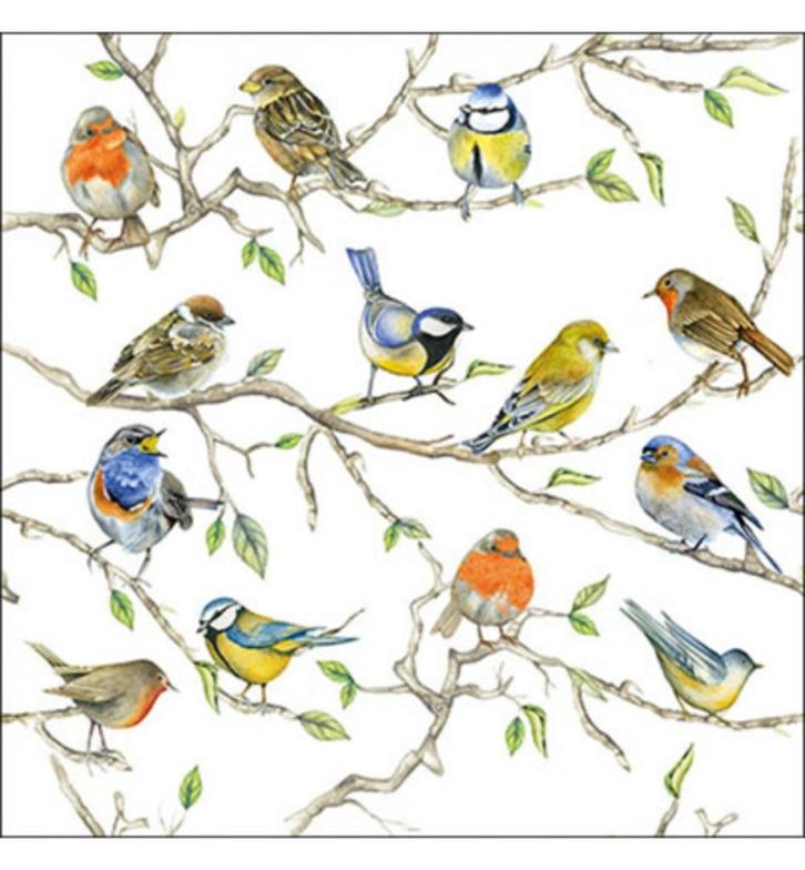 Ambiente servet birds meeting 33 x 33 cm 13314975, Hobby en Vrije tijd, Knutselen, Nieuw, Materiaal, Ophalen of Verzenden