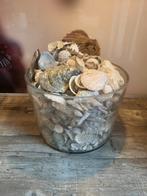 Pot met schelpen, Ophalen of Verzenden, Zo goed als nieuw