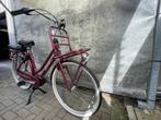 GAZELLE Miss Grace C7 Dames Coral Red Glans 54cm 2025, 51 tot 55 cm, Nieuw, Gazelle