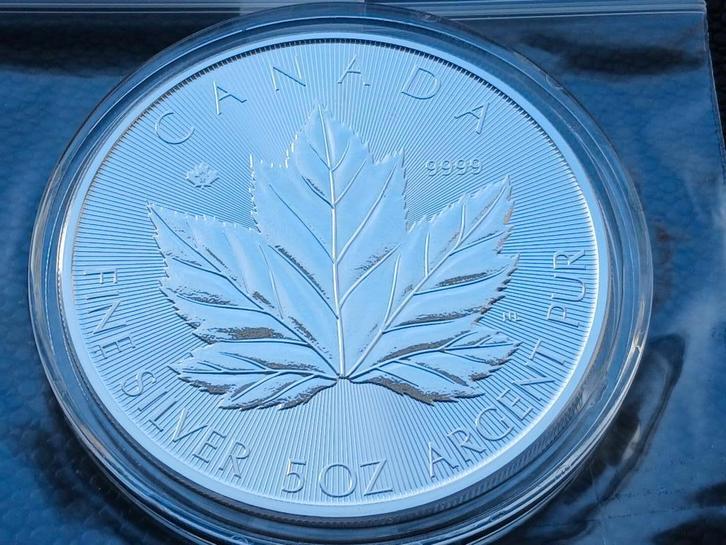 2026 Canada 5 oz zilveren Grand Maple Leaf, Postzegels en Munten, Munten | Oceanië, Zilver, Ophalen of Verzenden