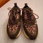 Bluebox dames sneakers 38, Blue Box, Overige kleuren, Nieuw, Ophalen of Verzenden