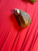 Zelf gemaakte van sSchildpad van steen Decoratie, Ophalen