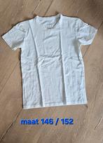 Wit shirtje v hals maat 146 / 152 basic wit, Ophalen of Verzenden, Zo goed als nieuw, Meisje, Shirt of Longsleeve