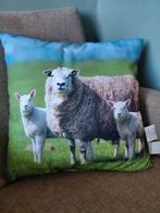Sierkussen schapen, Ophalen of Verzenden, Zo goed als nieuw