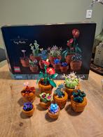 LEGO Botanical Collection - Vetplantjes, Ophalen of Verzenden, Zo goed als nieuw, Complete set, Lego
