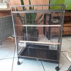 Vogelkooi, Dieren en Toebehoren, Vogels | Hokken en Kooien, Ophalen, Zo goed als nieuw, Metaal, Vogelkooi