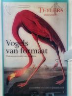 Flamingo van  AUDUBON op foam (170 bij 116 cm), Verzamelen, Posters, Ophalen of Verzenden, Zo goed als nieuw