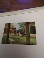 EXLOO DRENTHE. VAKANTIEOORD  'HUNZEBERGEN' 1986, Ophalen of Verzenden, 1980 tot heden, Drenthe