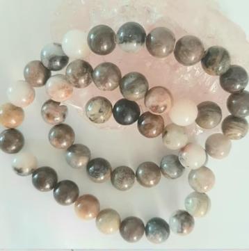 Streng Petrified Wood edelsteen kralen 8 mm beschikbaar voor biedingen