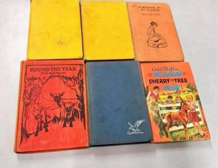 6 Hardcover boek Enid Blyton, dog stories, the boy next door, Boeken, Romans, Zo goed als nieuw, Europa overig, Ophalen of Verzenden