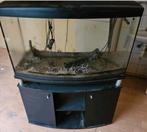 Aquarium, Dieren en Toebehoren, Vissen | Aquaria en Toebehoren, Ophalen, Gebruikt, Gevuld zoetwateraquarium