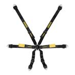 Schroth Enduro 2X2 Profi II gordel set racegordel FIA ASM, Ophalen of Verzenden
