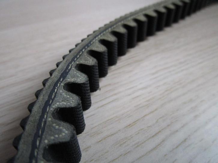 Nr.201: Malossi getande aandrijfriem. Lengte 830 mm, Fietsen en Brommers, Brommeronderdelen | Algemeen, Nieuw, Overige typen, Ophalen of Verzenden