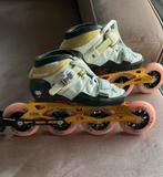 Core skeelers maat 37, Nieuw, Inline skates 4 wielen, Dames, Ophalen