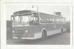 LIMBURGSE TRAMWEG MIJ. DAF DEN OUDSTEN STREEKBUS SITTARD, Ophalen of Verzenden, 1960 tot 1980, Ongelopen, Limburg
