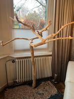 Javaboom voor middelgrote vogels, Dieren en Toebehoren, Ophalen, Zo goed als nieuw, Speelgoed