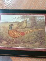 12 verschillende harde place mats, Ophalen, Zo goed als nieuw, Overige kleuren, Placemat