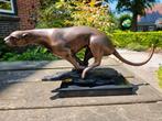 JACHTLUIPAARD / BRONZEN BEELD / cheetah / JAGUAR