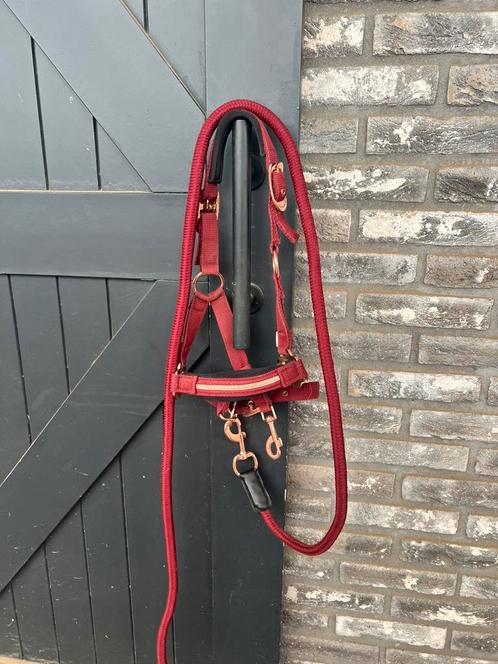 Bordeaux shetlander halster met steentjes, Dieren en Toebehoren, Paarden en Pony's | Hoofdstellen en Tuigage, Zo goed als nieuw