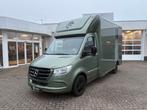 Mercedes Sprinter Automaat Sodiak Nubia Hengstenuitvoering, Dieren en Toebehoren, Paarden en Pony's | Trailers en Aanhangwagens