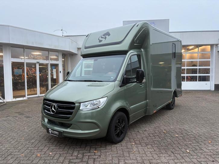 Mercedes Sprinter Automaat Sodiak Nubia Hengstenuitvoering, Dieren en Toebehoren, Paarden en Pony's | Trailers en Aanhangwagens