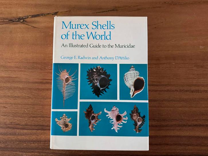 Murex Shells of the World - Radwin & D'Attilio, Boeken, Natuur, Gelezen, Natuur algemeen, Ophalen of Verzenden