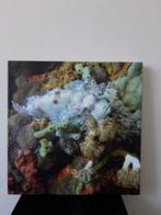 Canvas stonefish, 50 tot 75 cm, Ophalen of Verzenden, Zo goed als nieuw, Schilderij