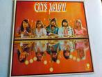 LP van The Cats, Ophalen, 1960 tot 1980, Zo goed als nieuw, 12 inch