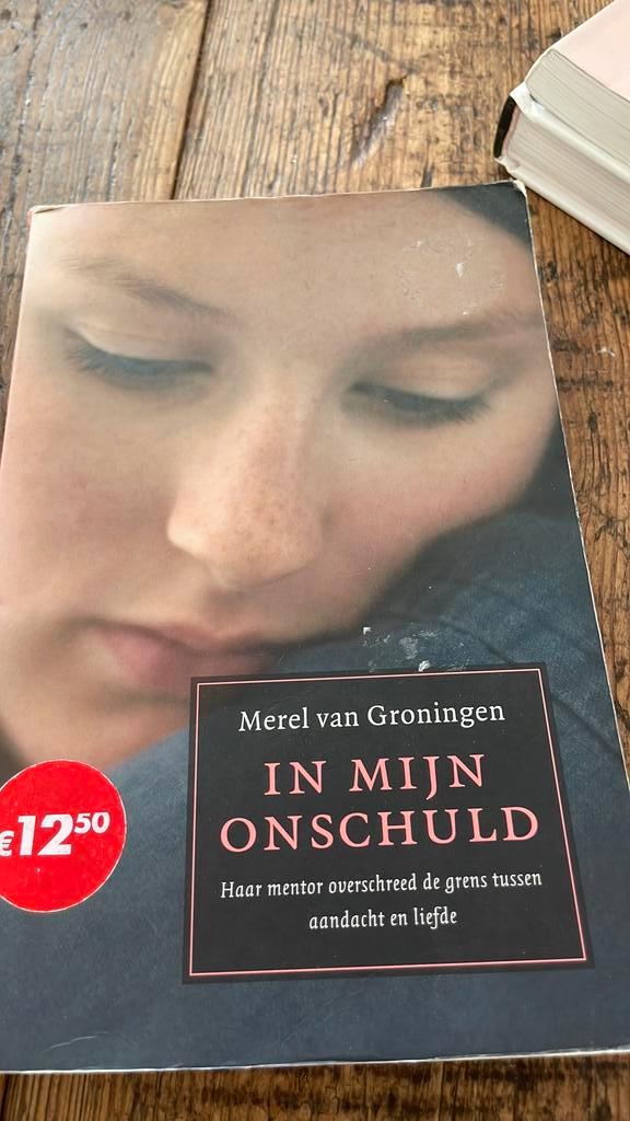 Merel van Groningen - In mijn onschuld, Boeken, Literatuur, Zo goed als nieuw, Ophalen of Verzenden