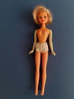 vintage Daisy pop Mary Quant barbie, Verzamelen, Poppen, Gebruikt, Ophalen of Verzenden, Pop