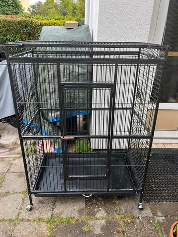 Super mooie grote papegaaien kooi merk strong beschikbaar voor biedingen