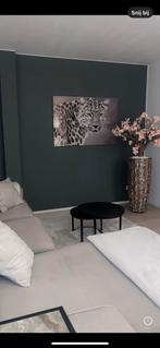 Panter plexiglas schilderij, Huis en Inrichting, Woonaccessoires | Schilderijen, Tekeningen en Foto's, Ophalen of Verzenden, Zo goed als nieuw