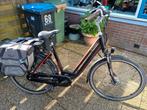 Electrice fiets FORZA FLORENCE 28/8SPEED, Zo goed als nieuw, 51 tot 55 cm, 50 km per accu of meer, Ophalen