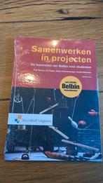 Ed Feijen - Samenwerken in projecten, Ed Feijen; André Meester; Peter Hennevanger; Rob Groen, Sociale wetenschap, Nieuw, Ophalen of Verzenden