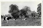 Peize - Gerestaureerde Boerderij, Verzenden, 1940 tot 1960, Ongelopen, Drenthe