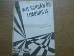 WIE SCHOÂN ÔS LIMBURG IS, Muziek en Instrumenten, Ophalen of Verzenden, Gebruikt, Populair, Zang