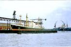 Scheepvaart-haven, Verzenden, Nieuw, Kaart, Foto of Prent