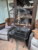 PAPAGAAIEN KOOI, Dieren en Toebehoren, Vogels | Hokken en Kooien, Ophalen