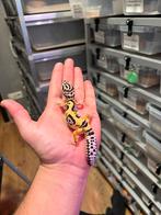 1.0 white and yellow firebold cros het tremper luipaardgekko, Dieren en Toebehoren, Reptielen en Amfibieën, Hagedis, 0 tot 2 jaar