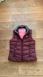 Gaastra body warmer maat M, Kleding | Dames, Bodywarmers, Ophalen of Verzenden, Zo goed als nieuw