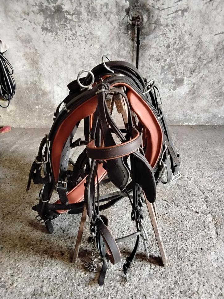 Ideal tuig, Dieren en Toebehoren, Paarden en Pony's | Hoofdstellen en Tuigage, Overige soorten, Verzenden