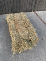 Te koop goede kwaliteit suikerarm hooi met analyse., Dieren en Toebehoren, Ophalen of Verzenden, Vee