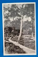 Ansichtkaart Otterlo Fietspad Mossel 1954, Ophalen of Verzenden, 1940 tot 1960, Gelopen, Gelderland